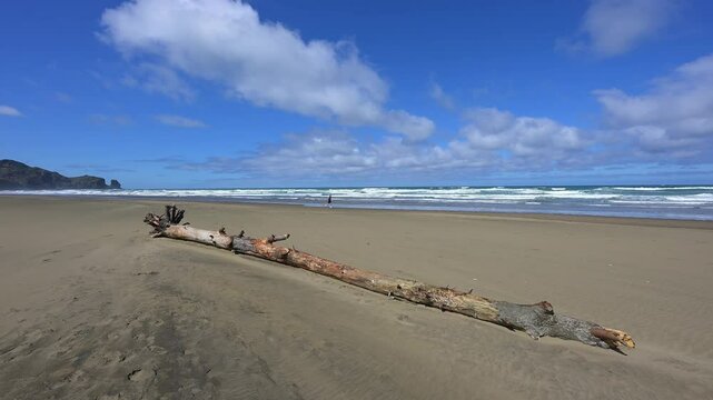 Meer, Strand, Sand, Treibholz, blaue, Wellen, Wolken, Himmel, Bethells Beach, Te Henga, Auckland, Neuseeland