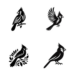 Obraz premium cardinal engrave logo icon design illustration