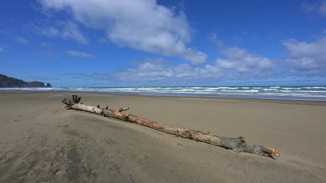 Meer, Strand, Sand, Treibholz, blaue, Wellen, Wolken, Himmel, Bethells Beach, Te Henga, Auckland, Neuseeland