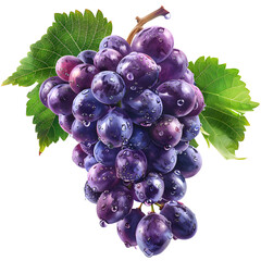 Cluster of Dew Drenched Purple Grapes with Lush Green Leaves on Black Background