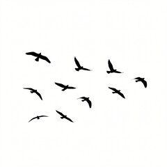 Fototapeta premium Silhouette of Flying Birds in Formation