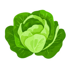 My Simple flat 2D icon lettuce leaves isolated on a white background, vector, flat design, animation design, simple flat 2D icon, minimalist design, clipart