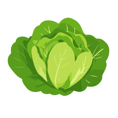 My Simple flat 2D icon lettuce flowers leaves isolated on a white background, vector, flat design, animation design, simple flat 2D icon, minimalist design, clipart