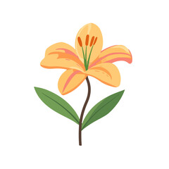 My Simple flat 2D icon orange lily branch isolated on a white background, vector, flat design, animation design, simple flat 2D icon, minimalist design, clipart