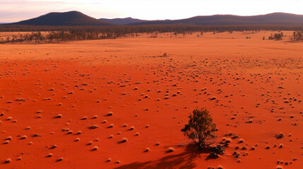 Sunlit Desert with Barren Horizon