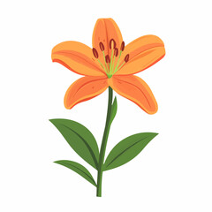 My Simple flat 2D icon orange lily branch isolated on a white background, vector, flat design, animation design, simple flat 2D icon, minimalist design, clipart