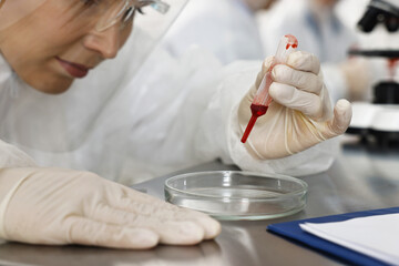 Scientist dripping blood sample onto Petri dish at table in laboratory, closeup