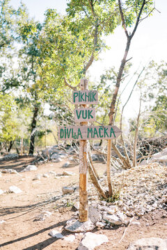 Signposts on a wooden post in a green park. Caption: Piknik, Vuk, Divla macka