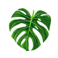 My Simple flat 2D icon monstera leaf isolated on a white background, vector, flat design, animation design, simple flat 2D icon, minimalist design, clipart © Sabellatint