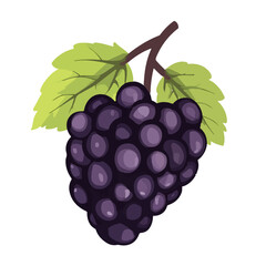My Simple flat 2D icon mulberry isolated on a white background, vector, flat design, animation design, simple flat 2D icon, minimalist design, clipart