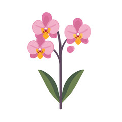 Very Simple flat 2D icon pink orchid branch isolated on a white background, vector, flat design, animation design, simple flat 2D icon, minimalist design, clipart	