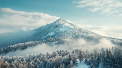 A snow-covered mountain rises above a forest, surrounded by mist and clouds under a clear blue sky, creating a serene winter landscape.