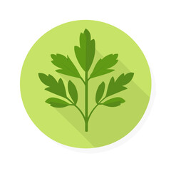 Very Simple flat 2D icon parsley isolated on a white background, vector, flat design, animation design, simple flat 2D icon, minimalist design, clipart	