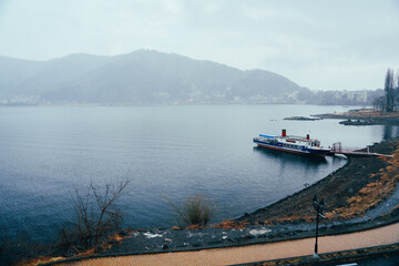 Fototapeta premium 河口湖にいる白鳥