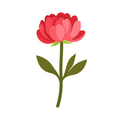 Very Simple flat 2D icon red peony isolated on a white background, vector, flat design, animation design, simple flat 2D icon, minimalist design, clipart  © Sabellatint
