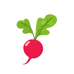 Very Simple flat 2D icon red radish with green leaf isolated on a white background, vector, flat design, animation design, simple flat 2D icon, minimalist design, clipart	