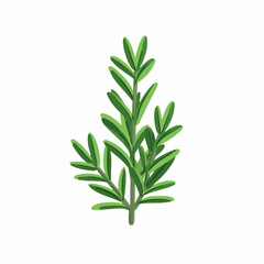 Very Simple flat 2D icon rosemary branch isolated on a white background, vector, flat design, animation design, simple flat 2D icon, minimalist design, clipart
