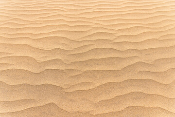 The Dunes of Maspalomas are a small desert  located in the municipality of San Bartolomé de Tirajana, between Maspalomas and Playa del Inglés on the island of Gran Canaria.