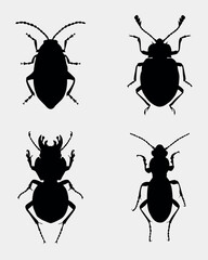 Beetles Silhouettes Set, Insect, Entomology, EPS 10, Insect Collection, Black, Isolated, Vector