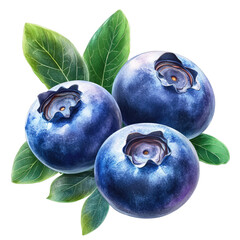 Obraz premium Fresh blueberries on leaves (3)