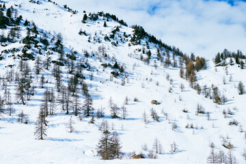 Les Alpes du Sud sous la neige  