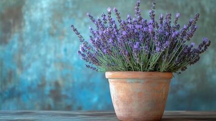 Fototapeta premium A terracotta pot, painted a soft pastel green, cradled a vibrant lavender plant, its delicate purple blooms adding a touch of elegance to the tranquil backdrop.