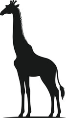 silhouette of a giraffe