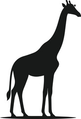 silhouette of a giraffe