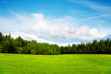 Field trees and blue sky