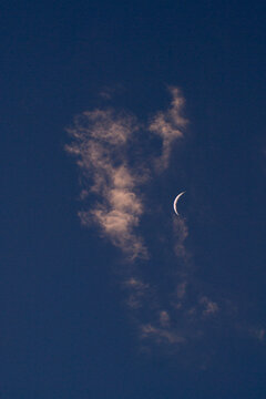 Escorpi&oacute;n nube