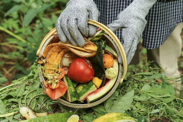 Compost heap pile with bio waste in garden. Farmer with vegetables and fruits food scraps from...