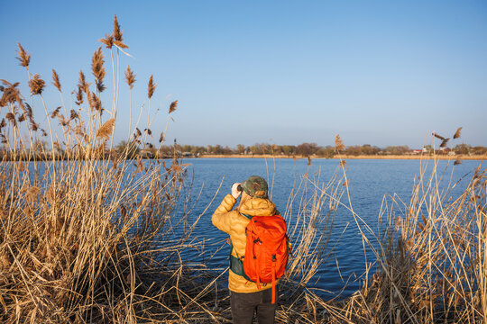 Birdwatching in natural habitat. Woman ornithologist with binoculars searching and watching water birds at lake