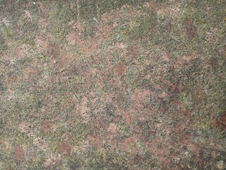 Metal surface covered with mold and rust