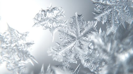 Obraz premium Detailed Winter Frost Patterns
