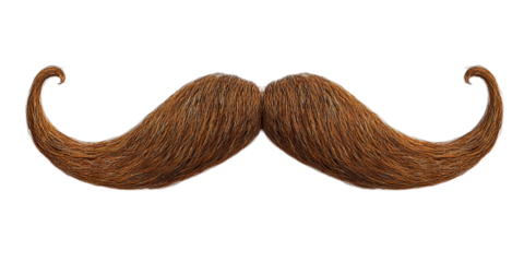 chocolate bar isolated