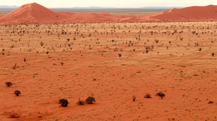 Desolate Beauty of the Rugged Desert Terrain