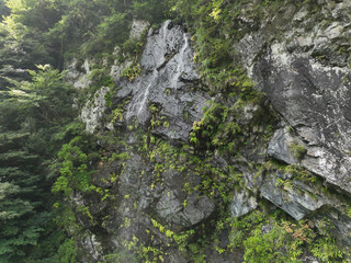 愛媛県西条市　大樽の滝