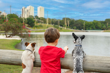 Little boy with his two best dog friends enjoying the day outdoors in a park with a lake on a beautiful day.