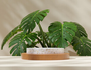 Product Photography Scene Background Photoshoot Platform