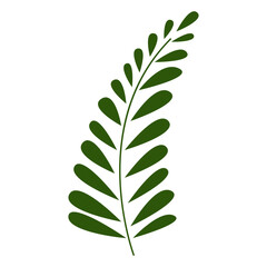 Minimalistic plant elements for decoration, invitations, greeting cards, logos, blogs, web, posters. Isolated vector illustration.