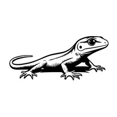 Fototapeta premium lizard on a white background
