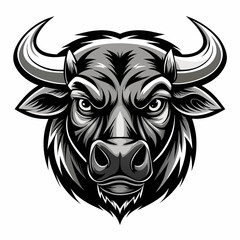head of bull