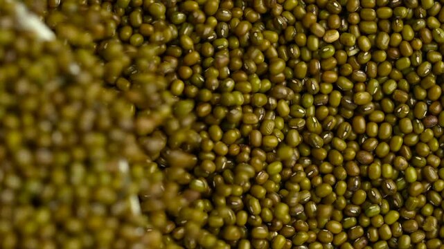Closeup detailed slow-motion of pouring dark green, fresh and organic Mung beans on a big pile