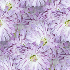 Obraz premium Seamless multi-colored flower pattern with lilac daisies, charming floral design for textiles, copy space