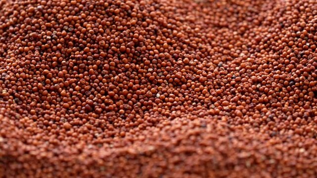 Slow-motion closeup of a spinning pile of organic red Finger Millets