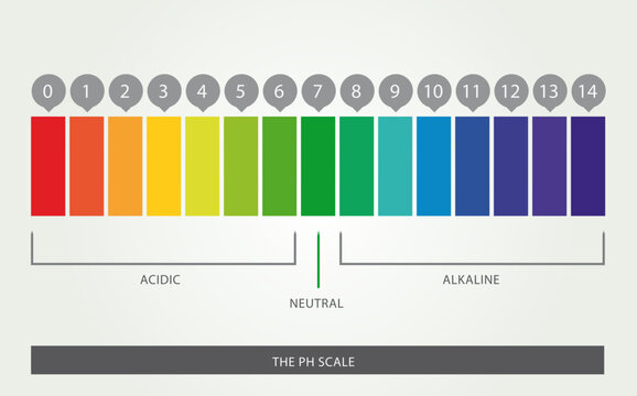 Echelle de PH, acide, neutre, basique, 14 niveaux, Illustration Design Vecteur, Multiples Couleurs
