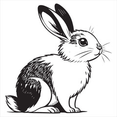 Rabbit Vector