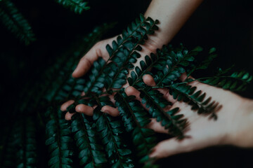 hands holding fern