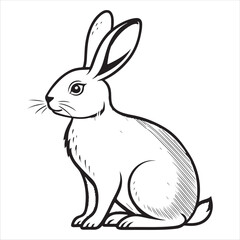 Rabbit Vector