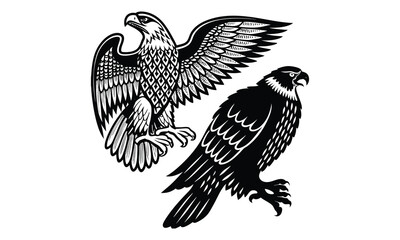 Soaring eagle vector design logo illustration